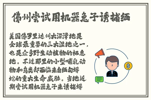 网红小桃酱出租车的游戏特色